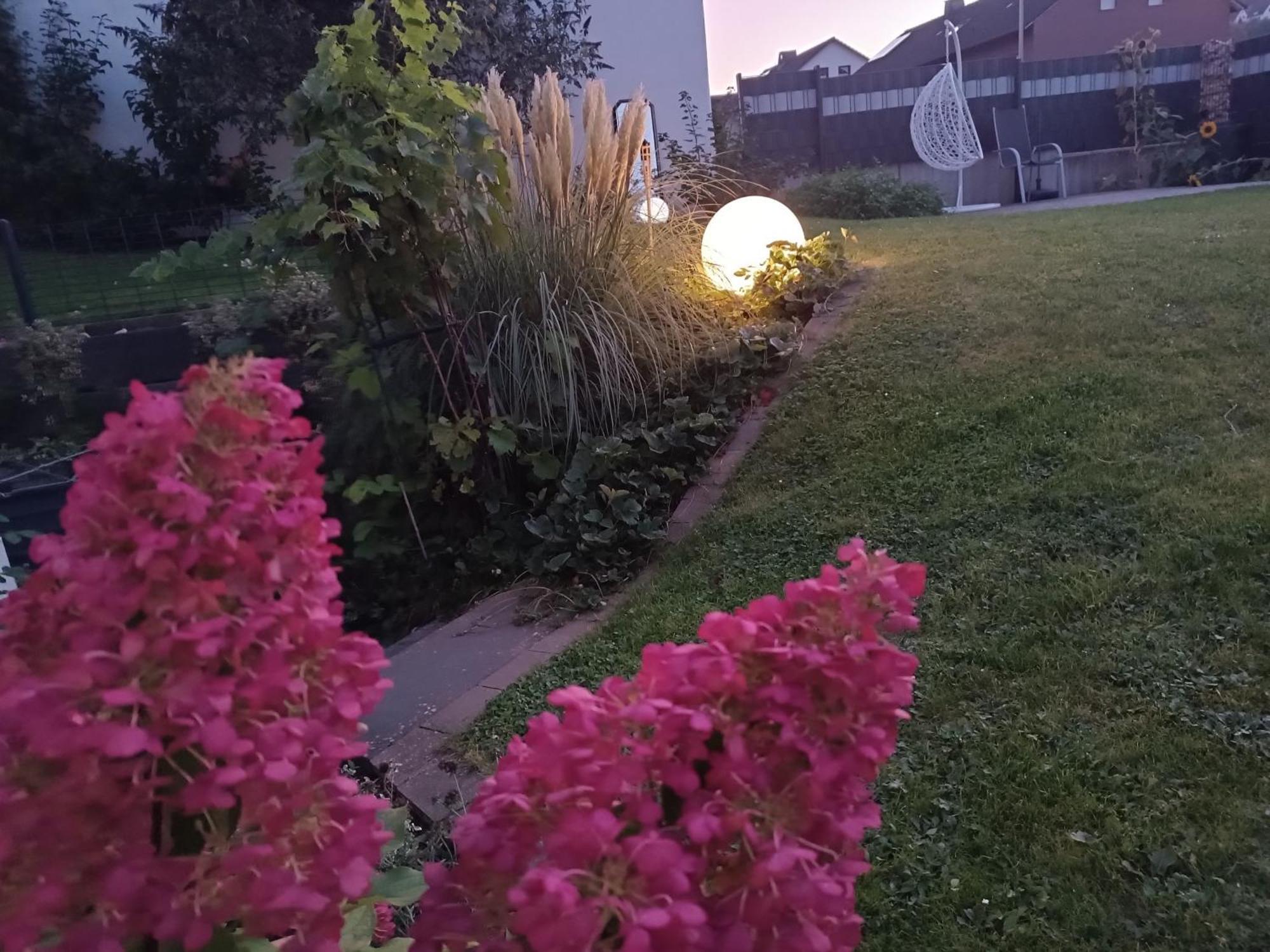 Ferienwohnung Sonnenblick Und Relax Sundern Exterior foto